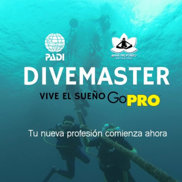 Dive Master